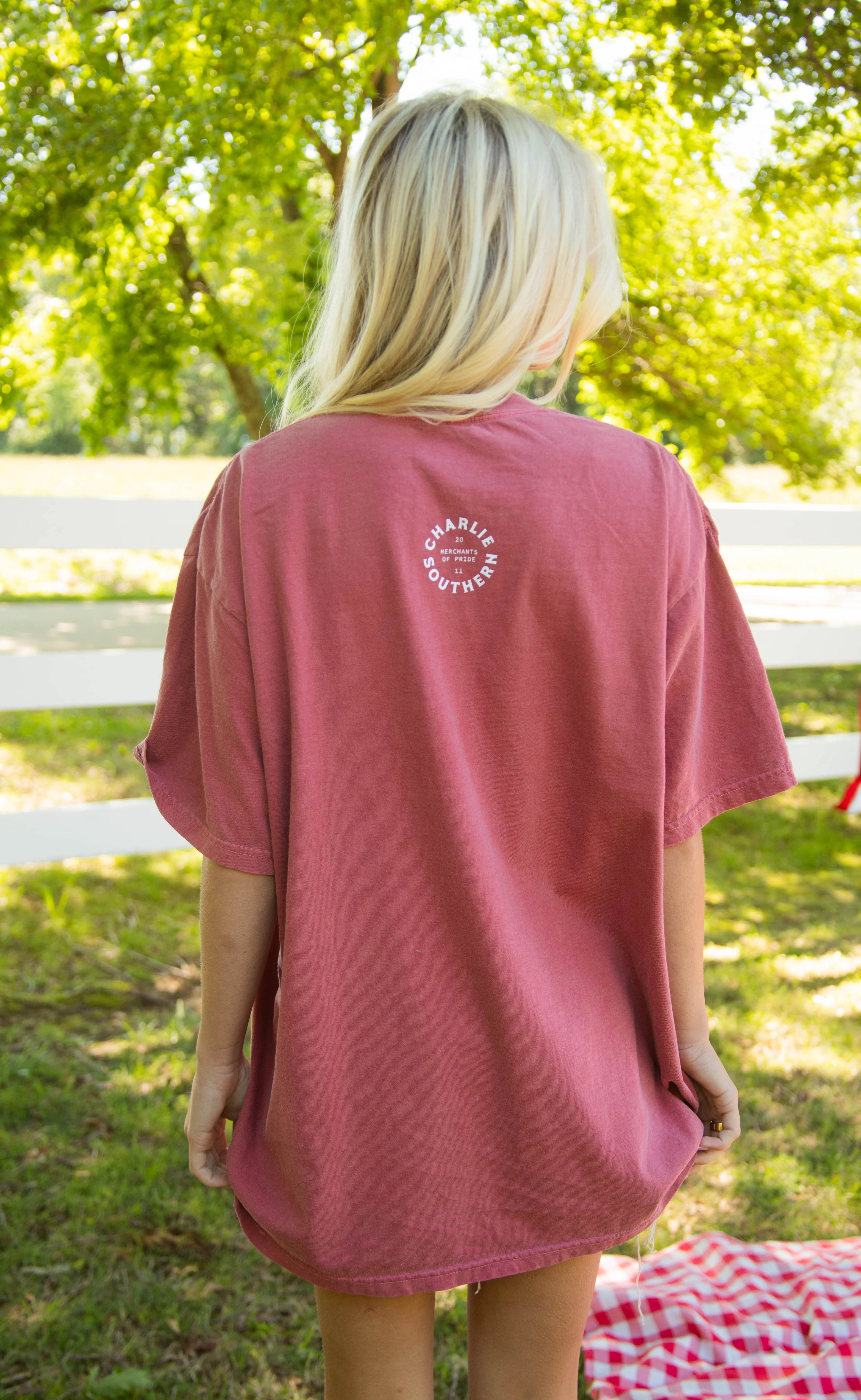 charlie southern: usa flag tee - Image 4
